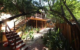 Casa AVA